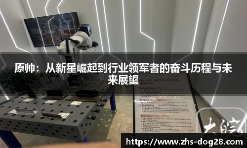 原帅：从新星崛起到行业领军者的奋斗历程与未来展望