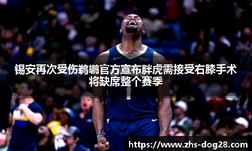 锡安再次受伤鹈鹕官方宣布胖虎需接受右膝手术将缺席整个赛季